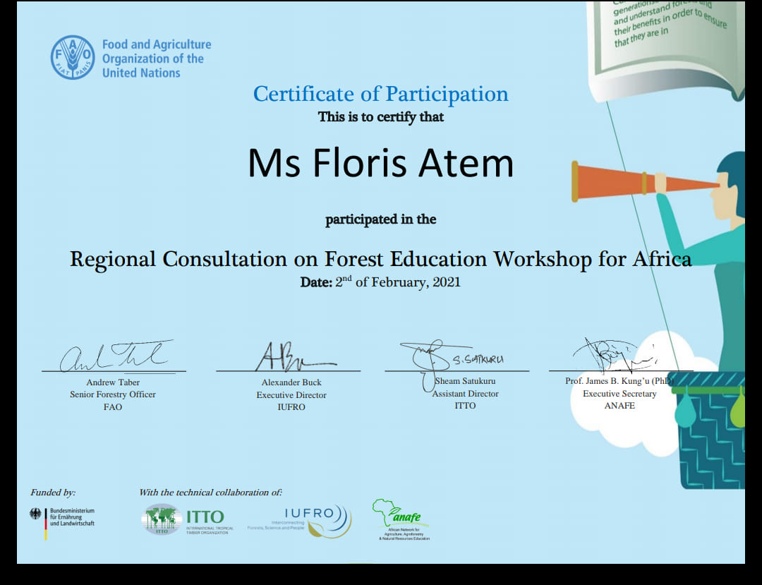 WEESDev Foundation Engages in Vital Forest Education Workshop to Ensure Sustainable Management in Africa