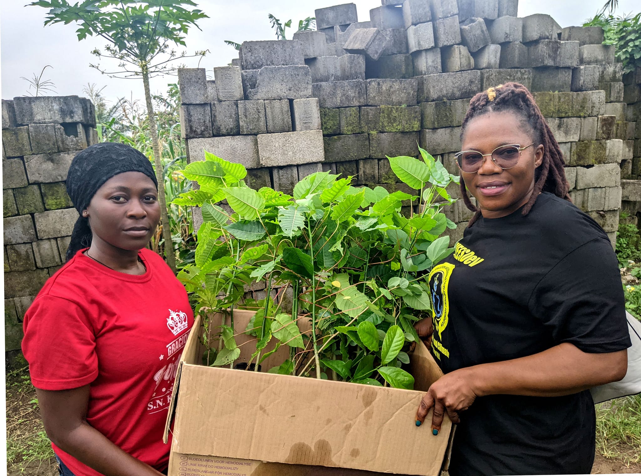 WEESDev Foundation Joins Forces with Eco Balance Cameroon and Local Supporters to Combat Climate Change in Ndongo Community